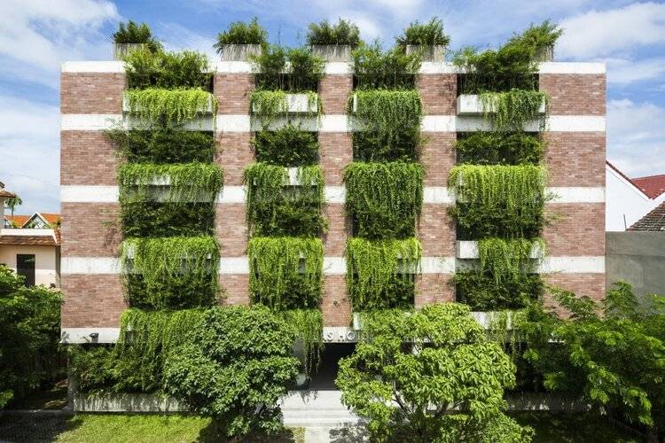 Mulberry Collection Silk Eco