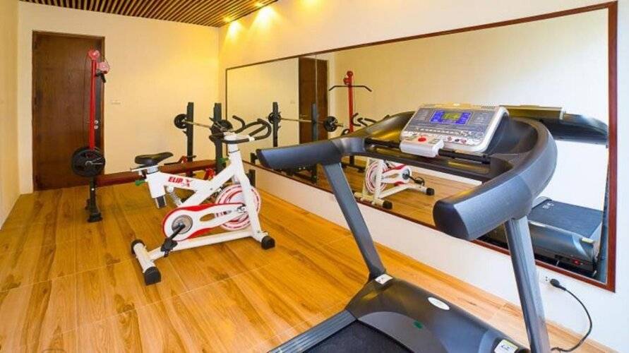 Mulberry Collection Silk Eco