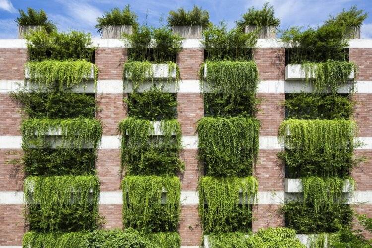 Mulberry Collection Silk Eco