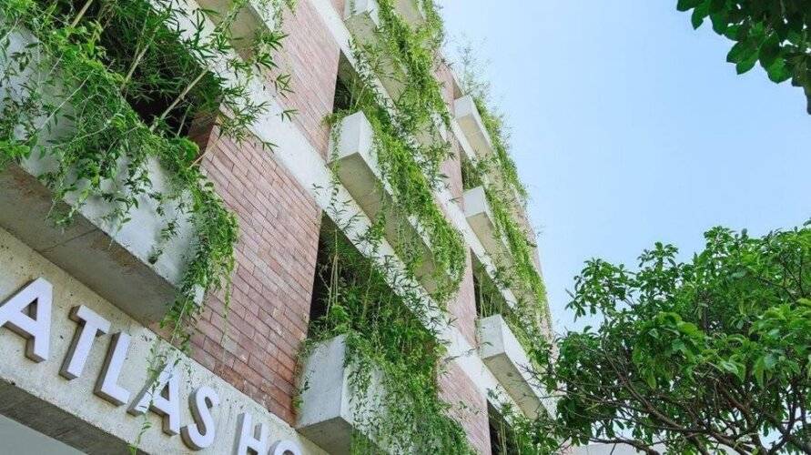 Mulberry Collection Silk Eco