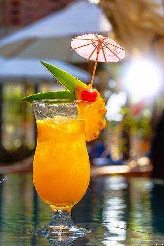 Mulberry Collection Silk Eco