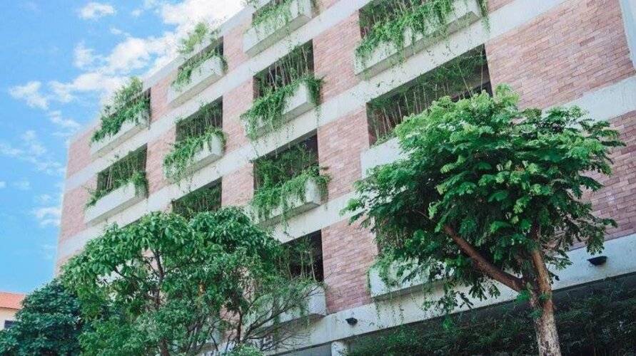 Mulberry Collection Silk Eco