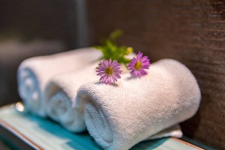 Calm House Hotel Hoi An