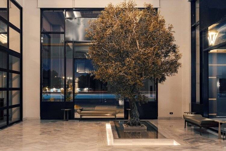 Mansard Riyadh A Radisson Collection Hotel