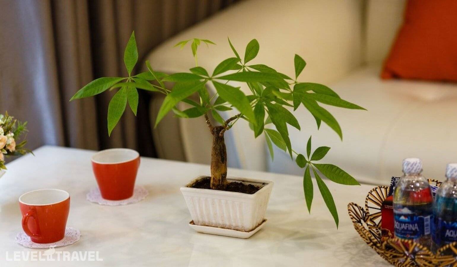 Изображение отеля 10