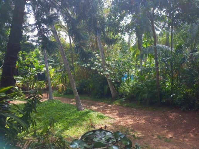 Navora Home Stay