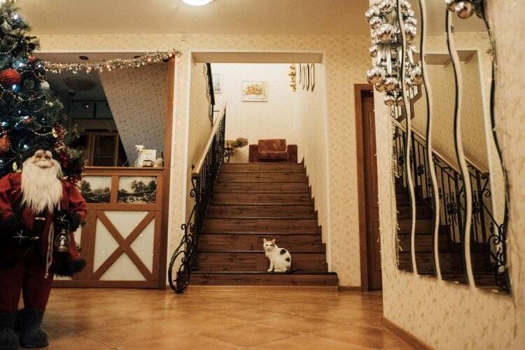 Альпин Шале (Абзаково)
