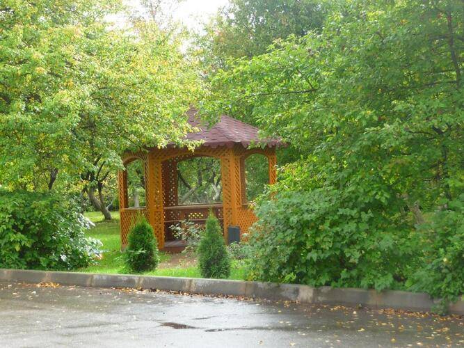 Гармония Плюс