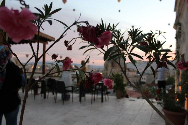 Shoestring Cave House