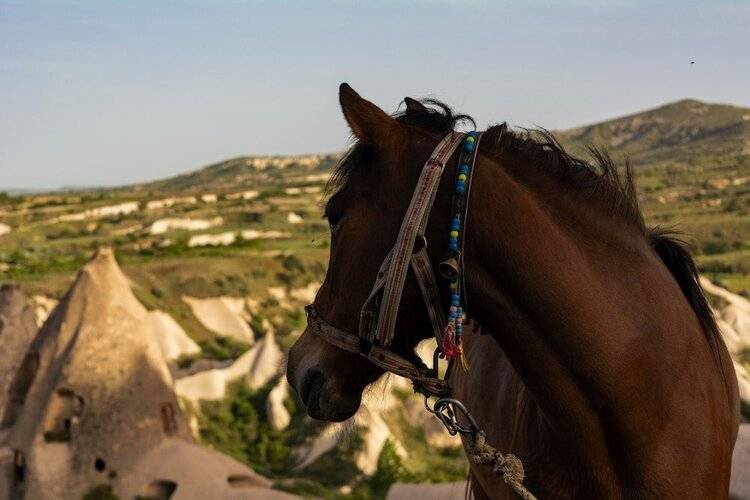 Hu Of Cappadocia