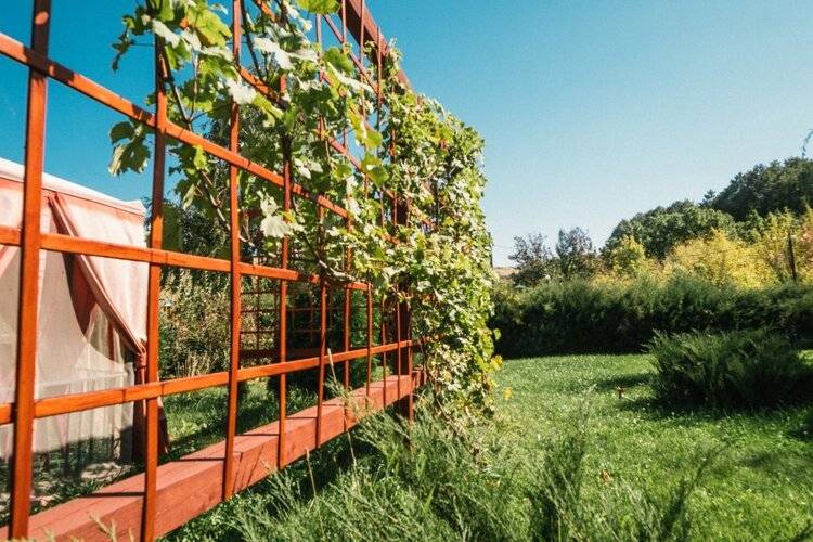 Green Roof