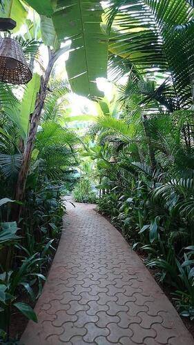 Justa Morjim Beach Resort Goa