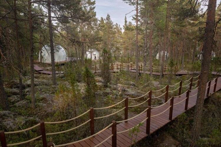 Глэмпинг Lago Ladoga