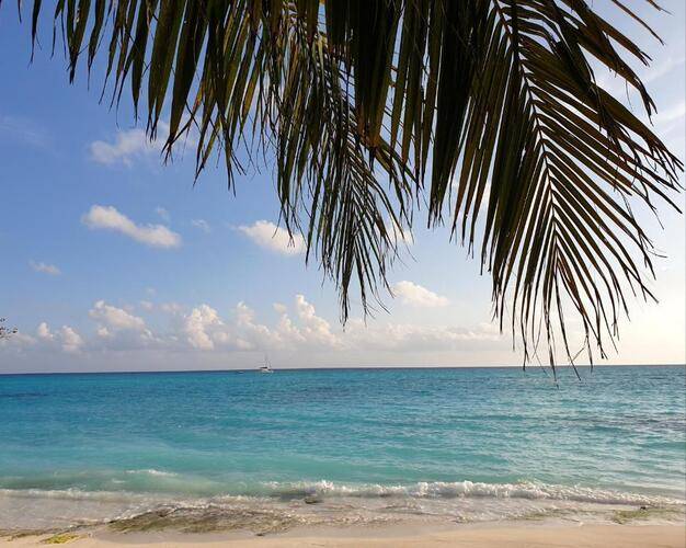 Island Luxury Boutique Hotel Fulhadhoo Guesthouse