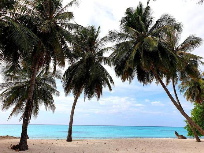 Island Luxury Boutique Hotel Fulhadhoo Guesthouse