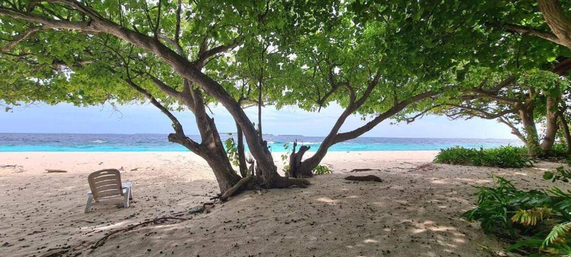 Kamadhoo Inn