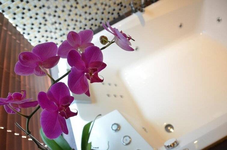 Seminyak Icon By Karaniya Experience - Chse Certified