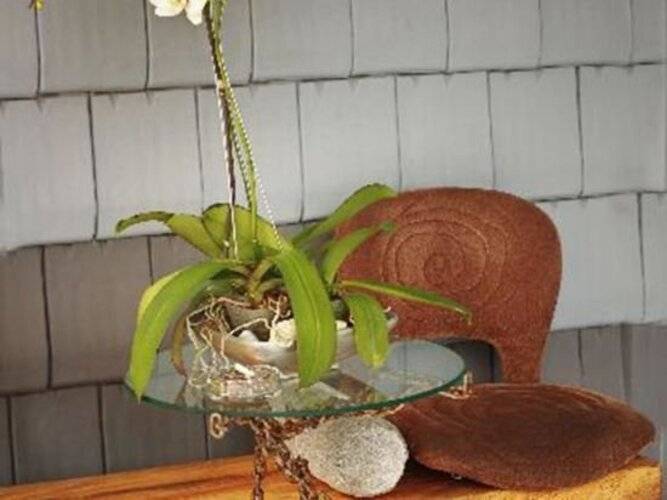 The Grey Boutique Inn