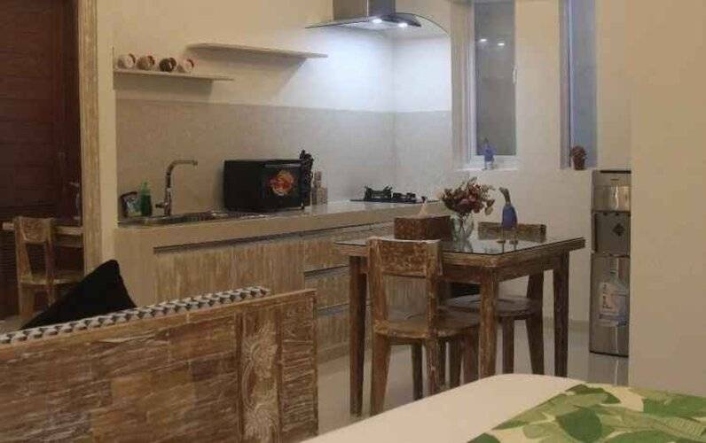 Green Studio Apartment Seminyak