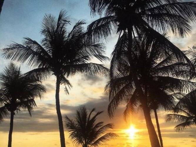 Umadewi Surf & Retreat