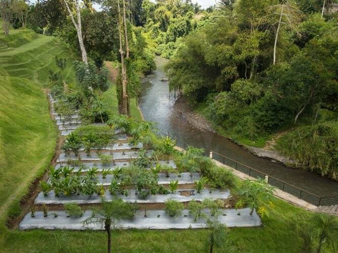 Sthala, A Tribute Portfolio Hotel, Ubud Bali - Chse Certified