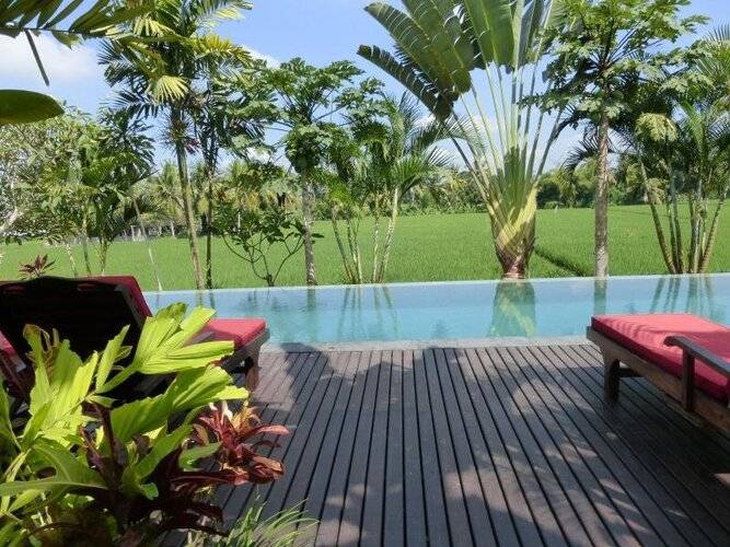 Bali Harmony