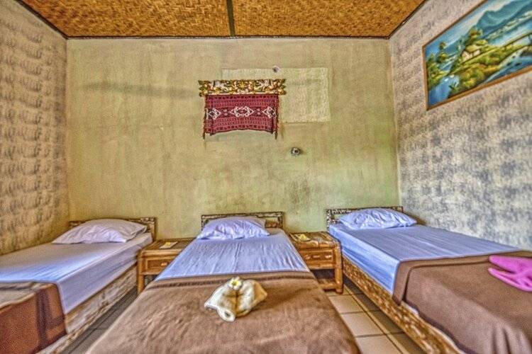 Lovina Central Hostel