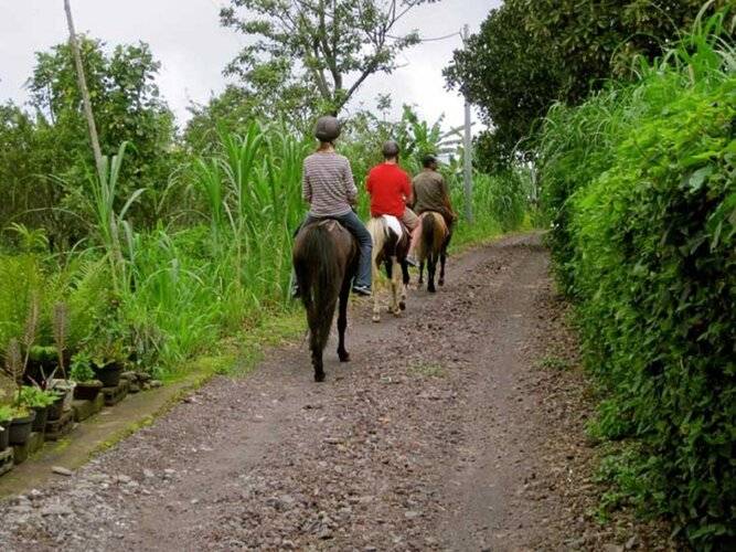 Munduk Moding Plantation - Chse Certified