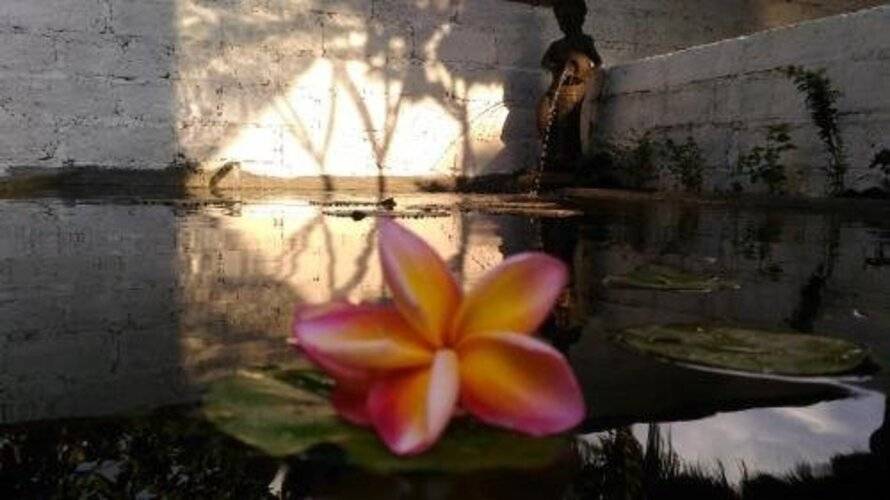 The Menjangan Resort