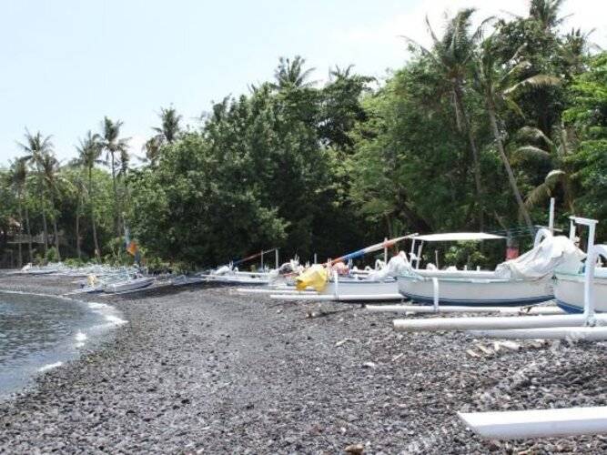 Scuba Tribe Bali