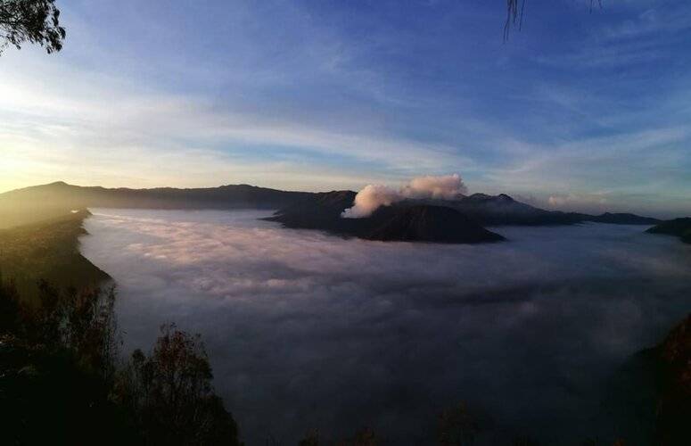 Dannu's Homestay