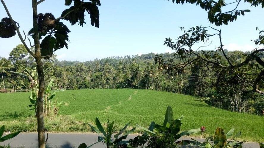 Herry Panggang Homestay And Transport Service