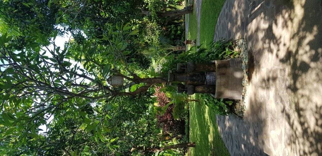 Mango Tree Inn