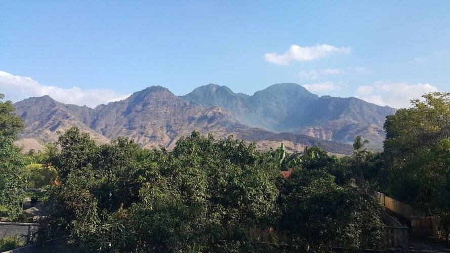 Mango Tree Inn