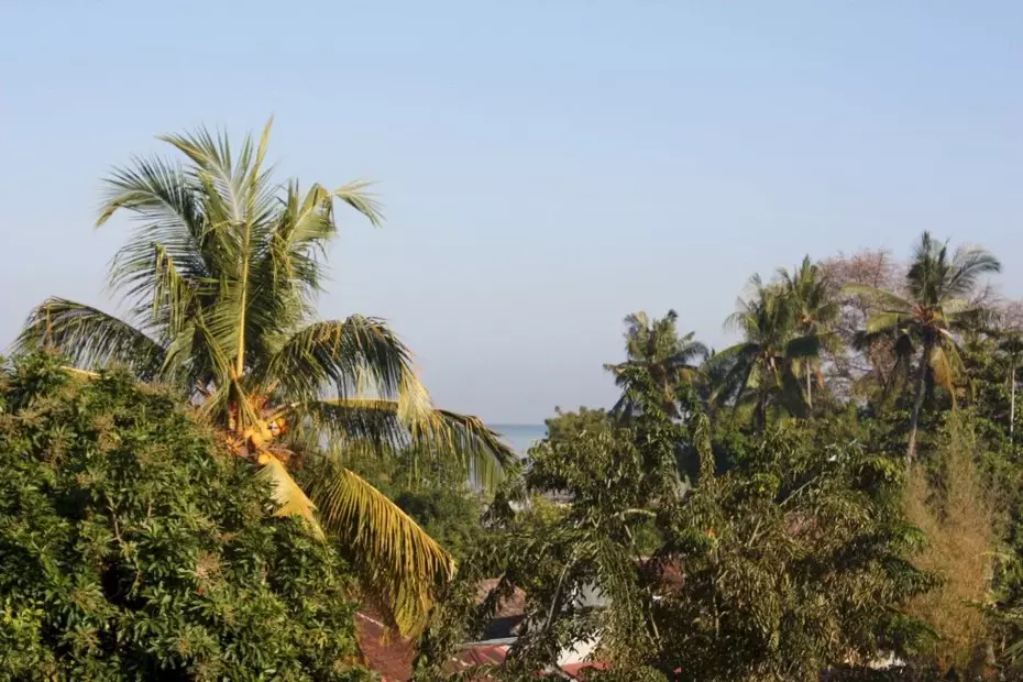 Rambutan Boutique Hotel & Spa