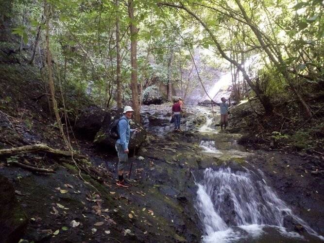 Suka Sari Cottages