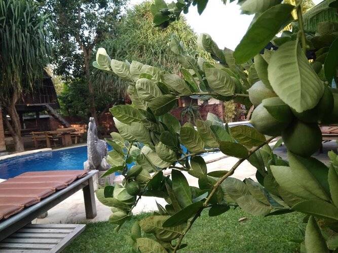 Suka Sari Cottages