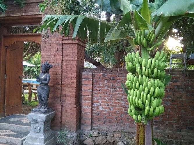 Suka Sari Cottages