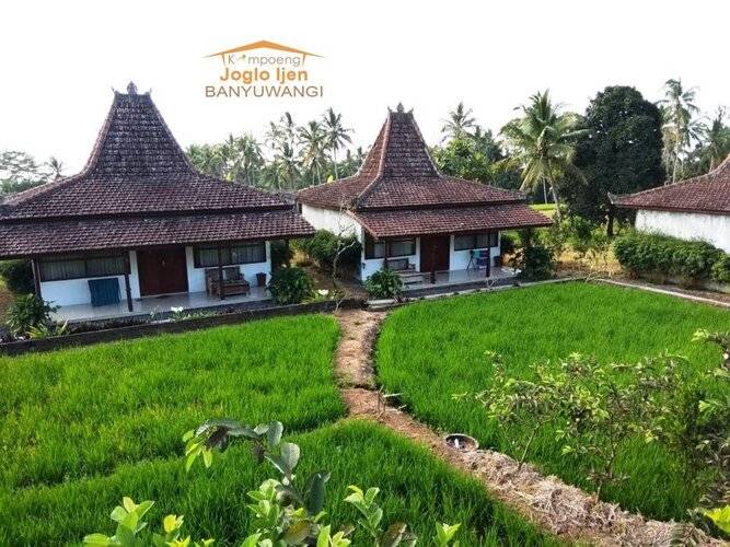 Kampoeng Joglo Ijen Banyuwangi