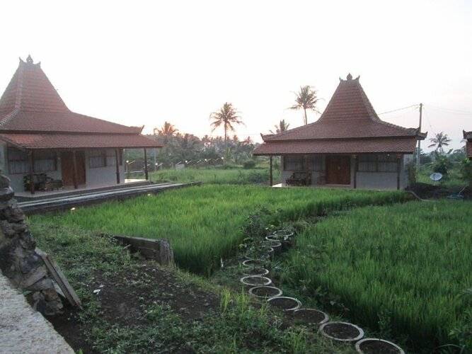 Kampoeng Joglo Ijen Banyuwangi