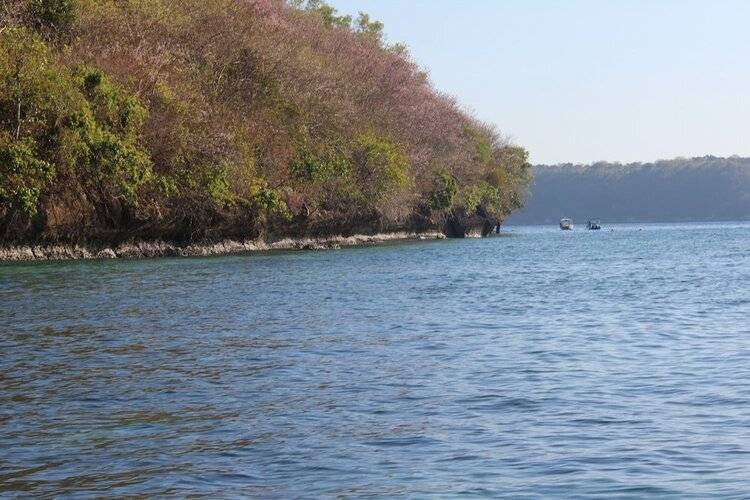 Agung View Nusa Penida