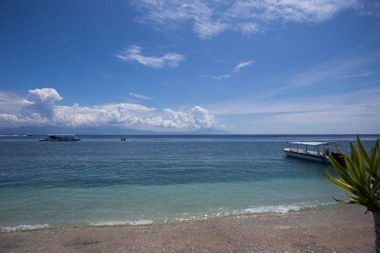 Rijet Villa Beach & Restaurant
