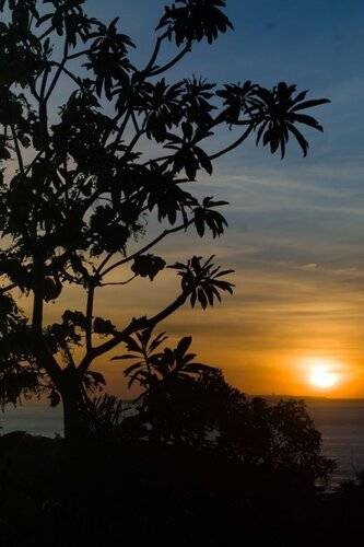 Penida Sunset Ocean View Bungalows