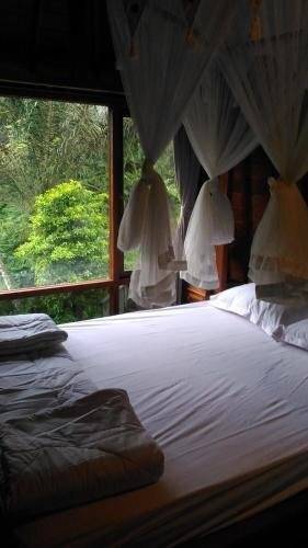 Bali Jungle Huts