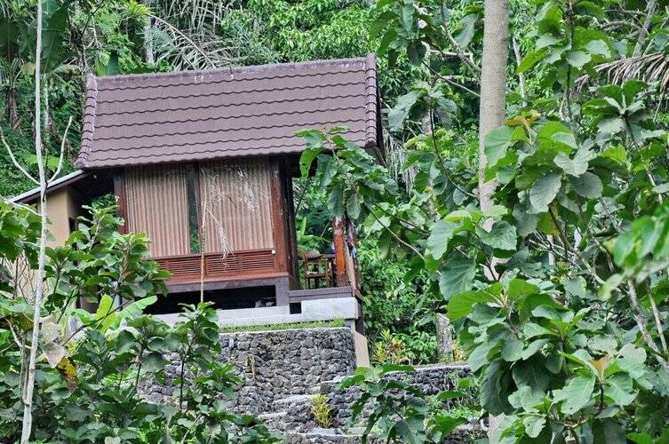 Bali Jungle Huts