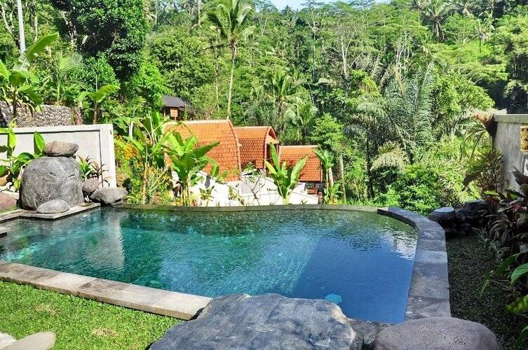 Bali Jungle Huts