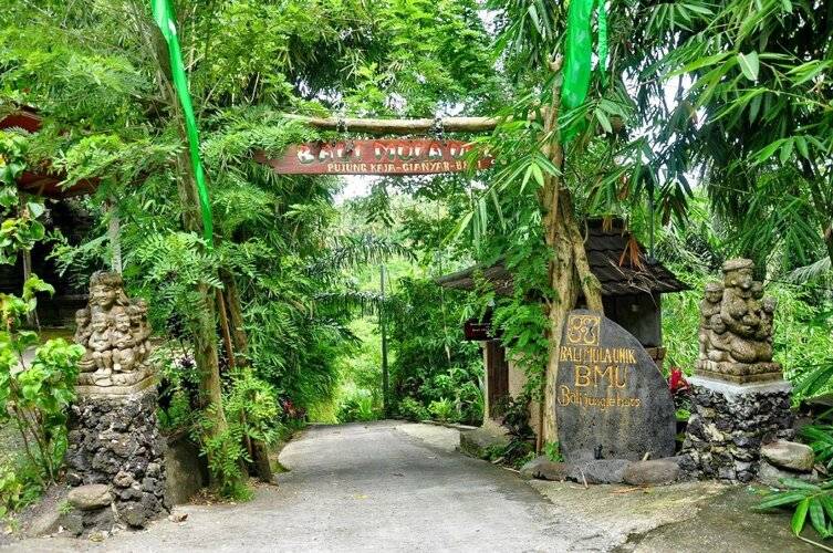 Bali Jungle Huts