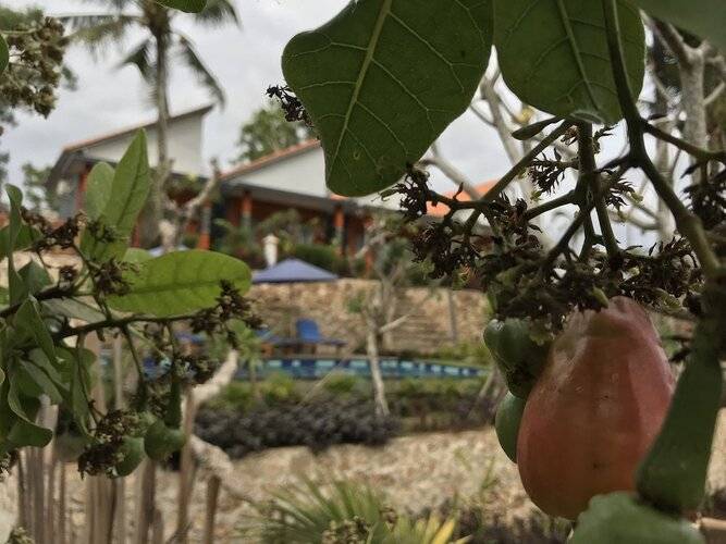 Bhavana Cottage