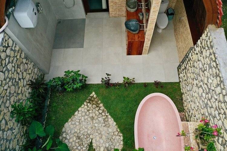 Jungle Paradise