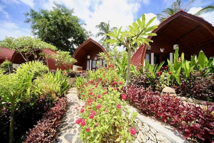 Jungle Paradise